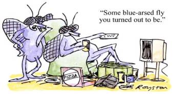a cartoon about blue-arsed flies